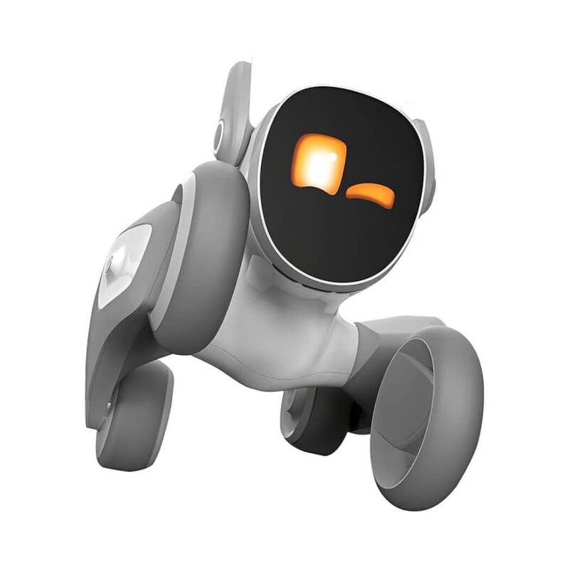 Loona the Petbot: Chat GPT Enabled with Voice Command & Gesture Recognition