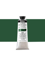 Vallejo Acrylic Artist 408 Colour, 60ml, Sap Green