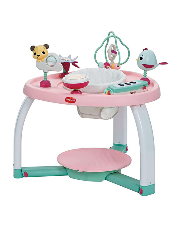 Tiny Love Activity Center Baby Balance Board, Multicolour