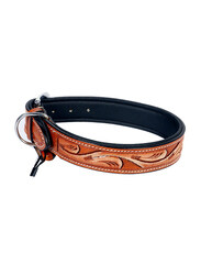 Engraved Leather Dog Collar Canary Tan, Large, Brown