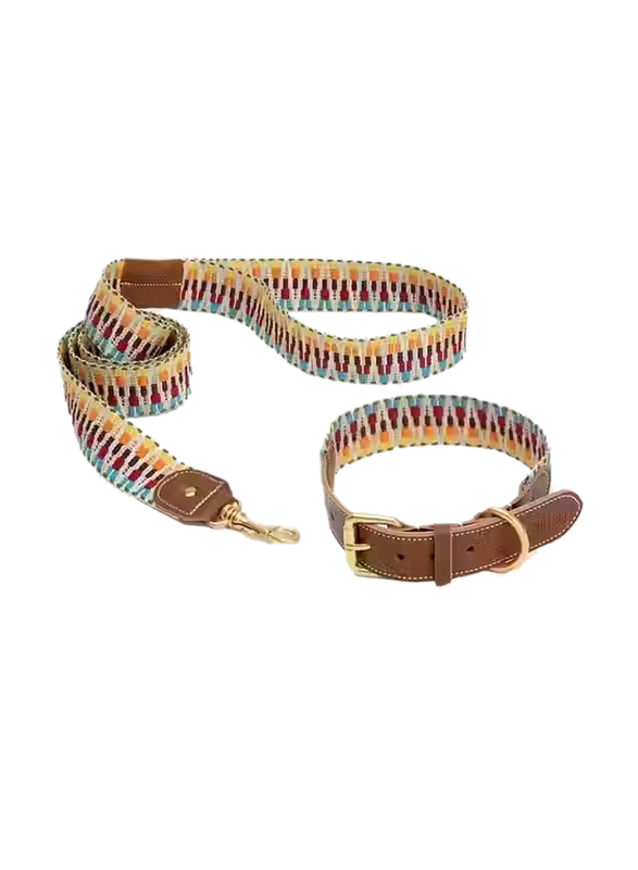 Iris Dog Collar Leash Set, Medium, Multicolour