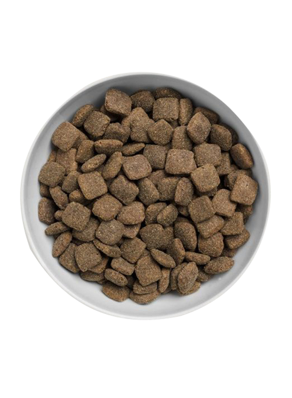 Canagan Grass Fed Lamb Dry Dog Food, 12 Kg