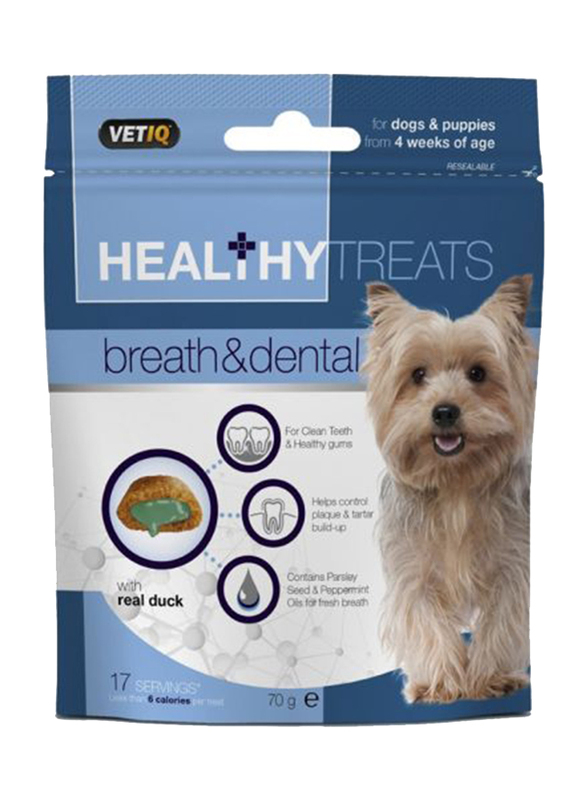 Vetiq Healthy Treats Breath and Dental Treats Dog Dry Food, 70g