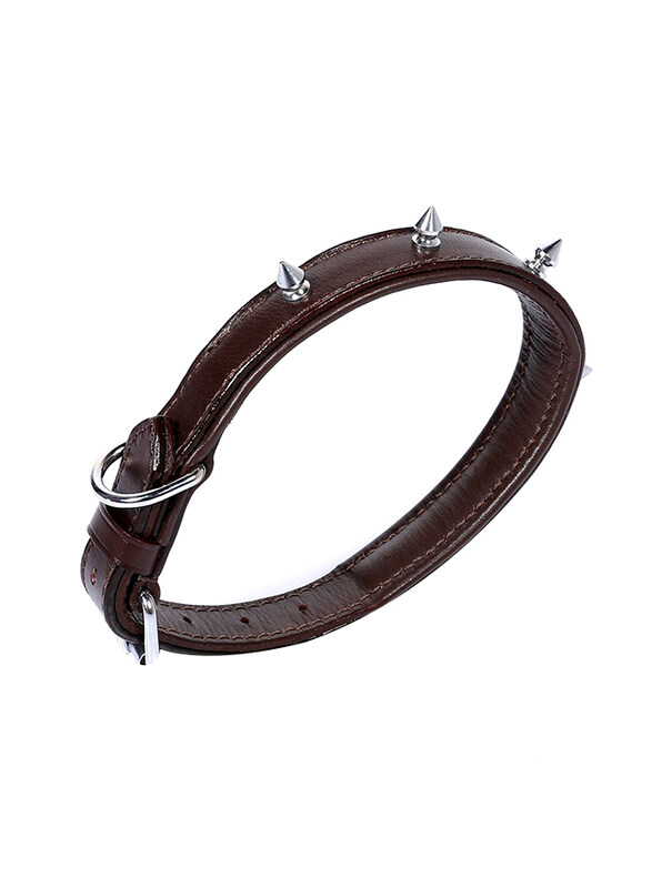 

Colombo Collar Leather Dog Collar, Small, Brown