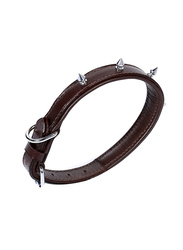 Colombo Collar Leather Dog Collar, Small, Brown