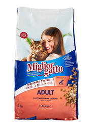 Miglior Croquettes With Salmon Dry Cat Food, 2Kg