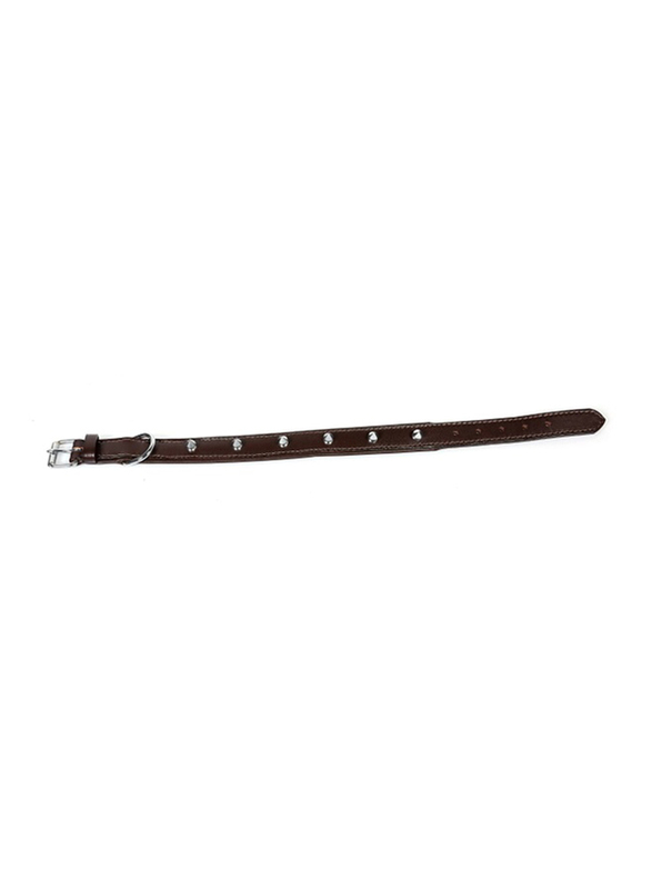 Colombo Collar Leather Dog Collar, Small, Brown