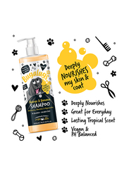 Bugalugs Mango & Banana Dog Shampoo, 500ml, Black
