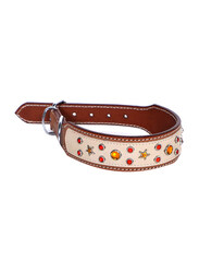Genovese Collar Leather Dog Collar, Medium, Multicolour