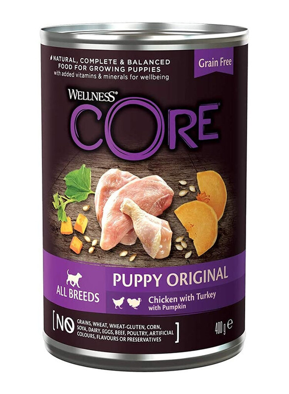 

Wellness Core Grain Free Chicken Turkey & Pumpkin Recipe Wet Puppy Food, 400g