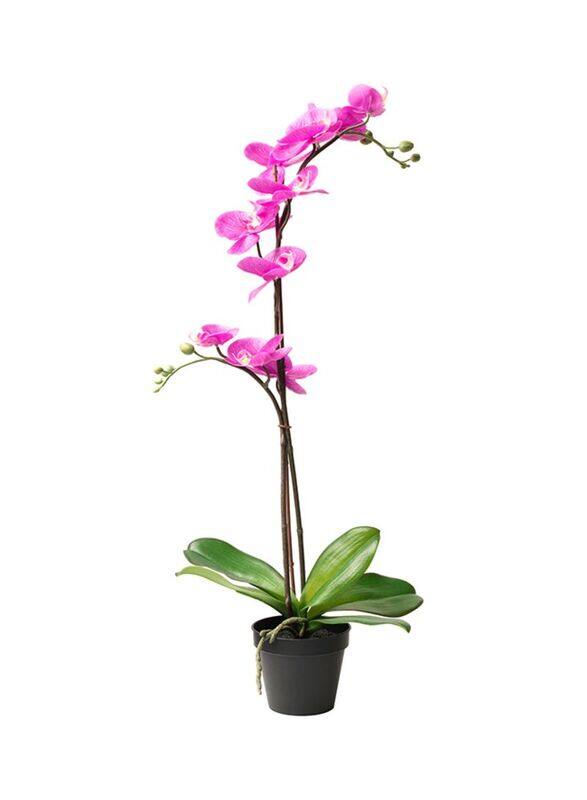 

Generic Orchid Artificial Flower, Pink/Green