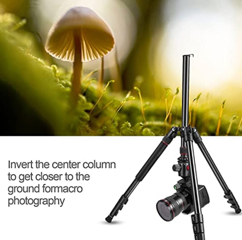 Coopic T264 170cm 2 in 1 Lightweight Portable Tripod for SLR DSLR Cameras with Tripod Bag, Black