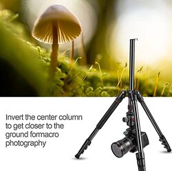 Coopic T264 170cm 2 in 1 Lightweight Portable Tripod for SLR DSLR Cameras with Tripod Bag, Black