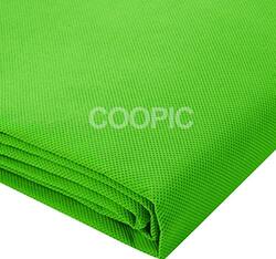 Coopic Non-Woven Fabric Photo Photography Backdrop Background, 10ft x 10ft, Green