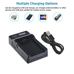 Dmkpower NP-FZ100 Battery 2300mAh LCD Dual Slot USB Charger for Digital Camera, 2 Piece, Black
