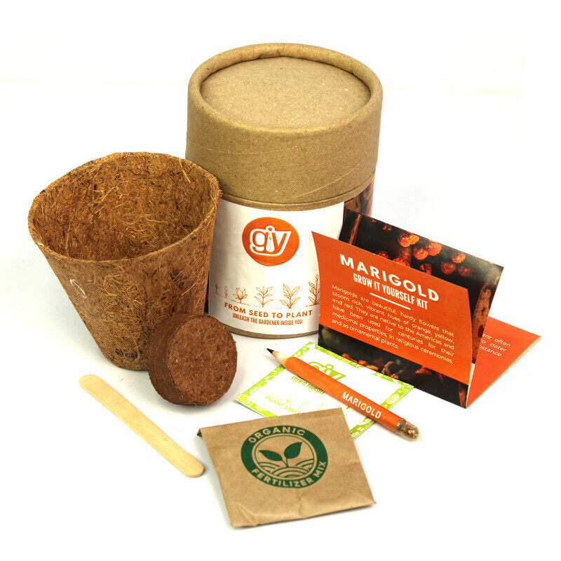 

Buy Responsibly Plantable Starter Kit Marigold, Coco Pot and Peat, Wooden Marker Stick, Marigold Seeds, Fertilizer Mix Boxed in a Recycled Paper Tube,