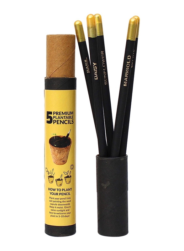 Buy Responsibly Plantable Seed Pencils, 5 Piece, Black/Gold