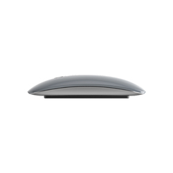 MERLIN CRAFT APPLE MAGIC MOUSE 2 STEEL GLOSSY