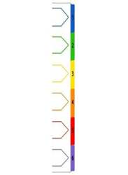 Deluxe PVC Colour Divider with Number, 1-6 Tab, 46406, Multicolour