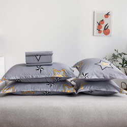 Aceir 6-Piece Microfibre Duvet Cover Set, 1 Duvet Cover + 1 Fitted Sheet + 4 Pillow Covers, King, Multicolour
