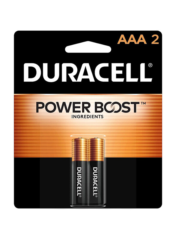 

Duracell AAA Alkaline Batteries, LR03/MN2400, 2 Piece, Silver