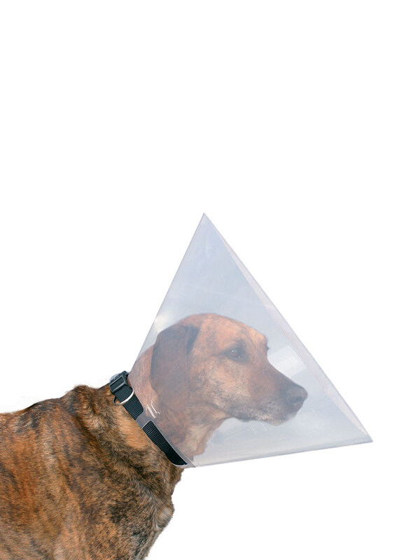 

Beeztees Bz Plastic Dog Cap, Size 31-38, 15cm, Clear