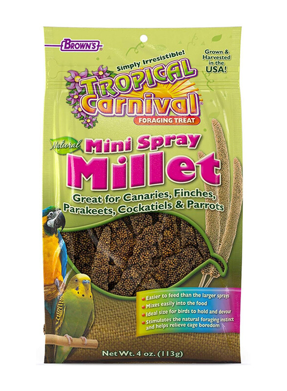 

F.M. Brown's Tropical Carnival Natural Mini Spray Millet Foraging Birds Dry Food, 4 Oz