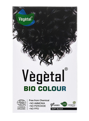 Vegetal Bio Permanent Hair Colour, 100g, Black