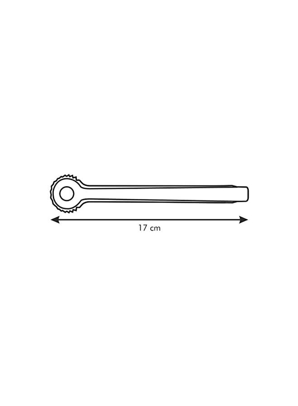 Tescoma Ice Tongs, Presto/420527, Chrome