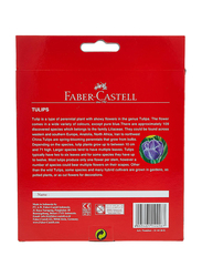 Faber Castell Colours Of Nature Colour Pencils 24 Colour In A Cardboard Box, Assorted Designs, 114426, Multicolour