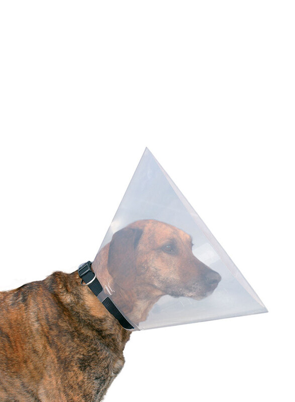 

Beeztees Bz Plastic Dog Cap, Size 22-25, 7.5cm, Clear
