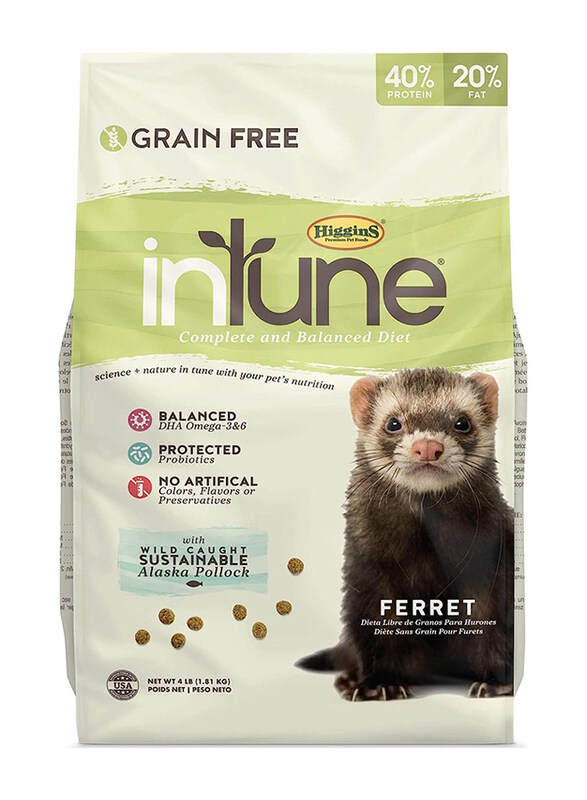 

Higgins Intune Ferret 6 Birds Dry Food, 4 Lbs