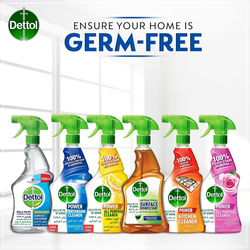 Dettol Glass Cleaner, 500ml