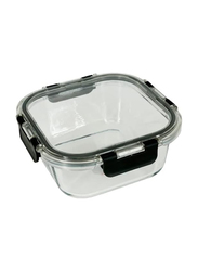 Rahalife Borosilicate Glass Rectangle Food Container with Airtight Lids, 800ml, Clear