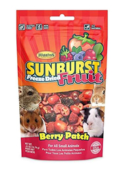 Higgins Sunburst Freeze Berry Patch Small Pets Dry Food, 0.52 Oz