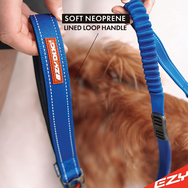 Ezy Dog Zero Shock Dog Lead, 48 inch, Blue