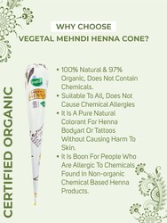 Vegetal Organic Henna Mehandi Cone 100% Natural, 50g, Mehandi Red