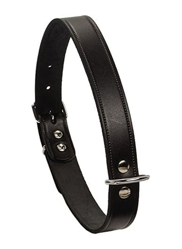 

Beeztees Leather Collar for Dog, 42cm x 16mm, Black