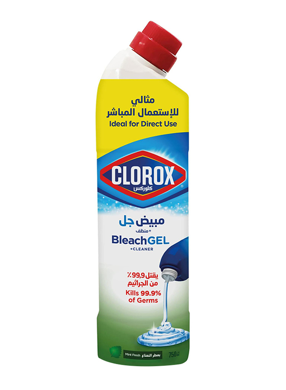 

Clorox Bleach Gel and Cleaner, Mint Freshness, 750ml