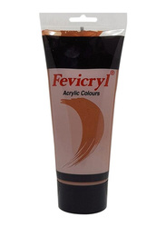 Fevicryl Acrylic Colour, AC05, 200ml, Brown