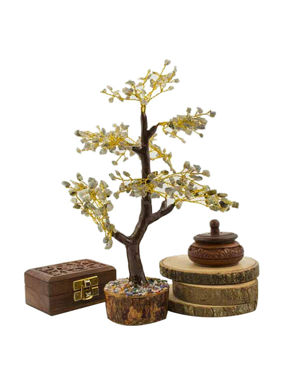 

Generic 300-Chips Labrodarite Tree, Multicolour