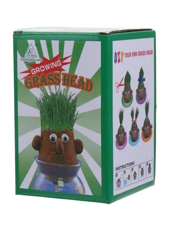 

Letbo Creative & Educational, Learning Growing Grass Head Craft Indoor for Kids, Multicolour