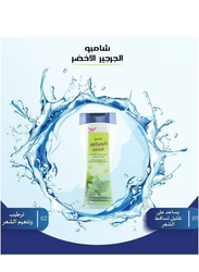 Kuwait Shop Green Watercress Shampoo 450ml