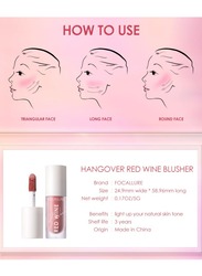 Hangover Red Wine Blusher Long Lasting -#2