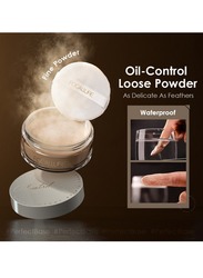 Oil-Control Poreless Matte Loose Powder-#01 Translucent