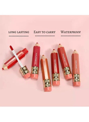 Hengfang Moisturizing Rich Velvet Matte Lip Gloss Gift Set, 3 Piece, Multicolour