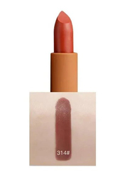 Hengfang Velvet Cream Long Lasting Soft Matte Lipstick, Chocolate, Brown