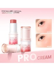 Pro Cream Stick Smooth Multi-use Long Lasting Blush Stick # PP01