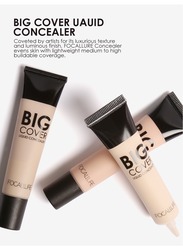 Focallure Big Cover Liquid Concealer #02 Natural