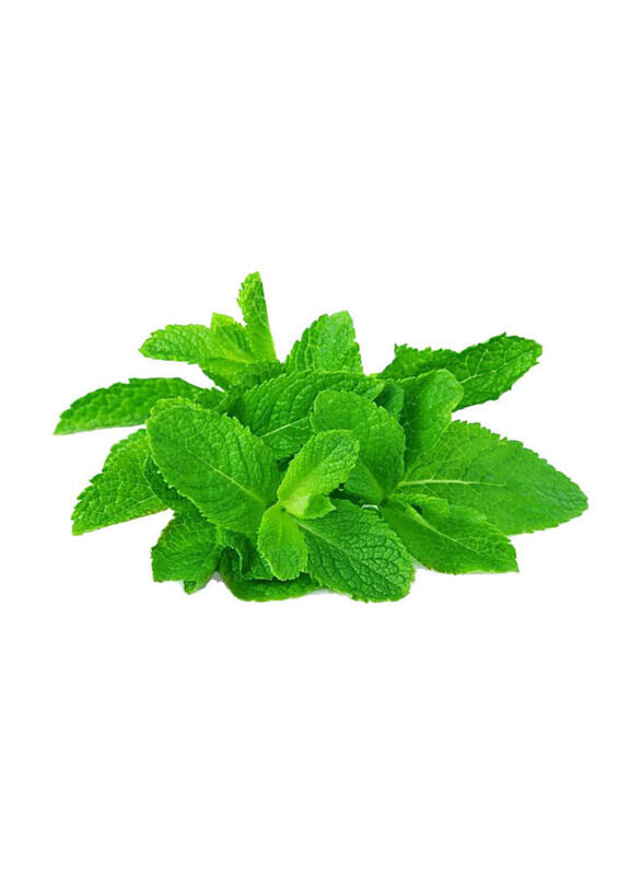 

Generic Organic Mint, 100g